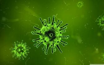Virus Wallpaper Top Background