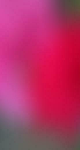iPhone Wallpaper Blurry Blurred Lock Screen