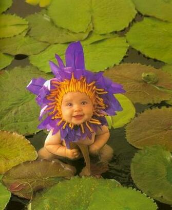 Image Detail For Anne Geddes Photo Pics Wallpaper