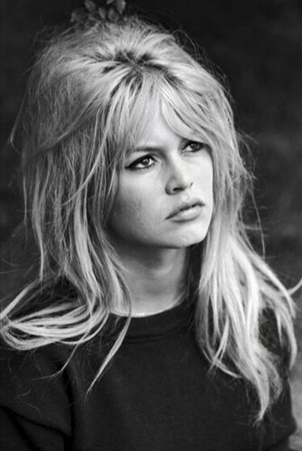Brigitte Bardot Pictures HD Wallpapers Arena 193813 on Wookmark