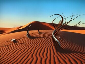 Arabian Desert 3d Wallpaper Sa