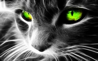 Cat Wallpaper