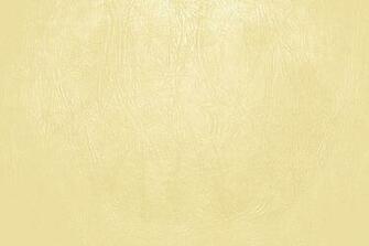 Butterscotch Yellow Leather Close Up Texture Picture Photograph