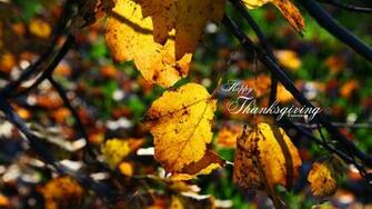 Thanksgiving Wallpaper Photo Kate Net Created