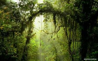 Nature Wallpaper Windows Themes Landscape