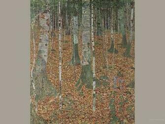 Birch Wood Gustav Klimt Wallpaper