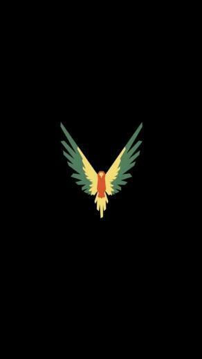 Maverick Logang Paulers Wallpaper Lock Screen Macaw