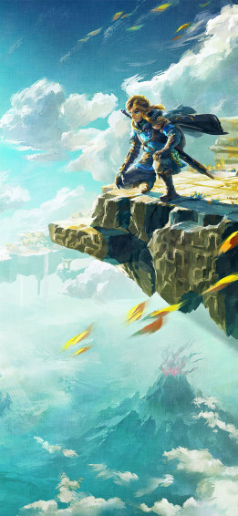 The Legend Of Zelda Tears Kingdom 5k iPhone Wallpaper