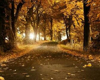 Desktop Wallpaper Scenery Sf