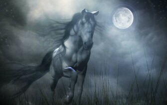 In Sun Set Wallpaper Horse Running Jumping