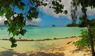 Landscape Sea Seychelles La Digue Beach Foliage Nature