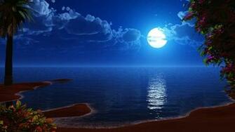 Moonlit Beach Wallpaper