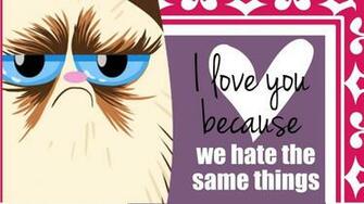 Grumpy Cat Valentine Attitude Cover Photos For