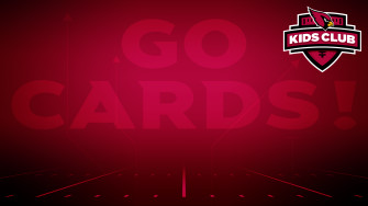 Arizona Cardinals Photos