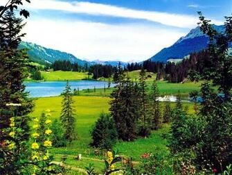 Mountain Lake In Summer Wallpaper