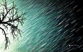 Heavy Rain Shower Wallpaper And Image