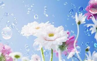 3d Spring Flower
