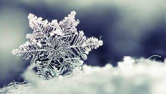 Wallpaper Beautiful Winter Snowflakes HD