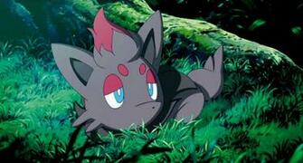 Pok Mon Zoroark Master Of Illusions Movies Film Cine