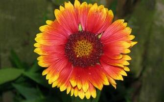 Source Url Smscs Photo Mac Html
