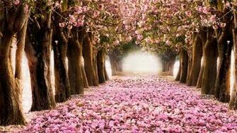 Springtime Desktop Wallpaper