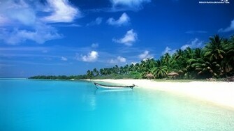 Palm Trees On A Sandy Beach Wallpaper