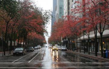 Wallpaper City Sky Canada Cars Street Road