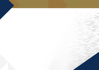Background On The Qlik Community