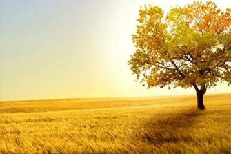 Wallpaper HD Canon 5d Cover Photos Desktop Mobile