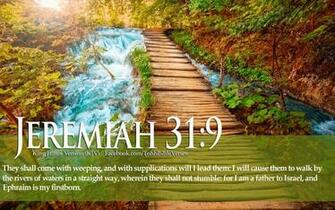 HD Christmas Bible Verse Greetings Card Wallpaper