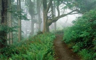 Trails Nature Wallpaper Resolution My Earth