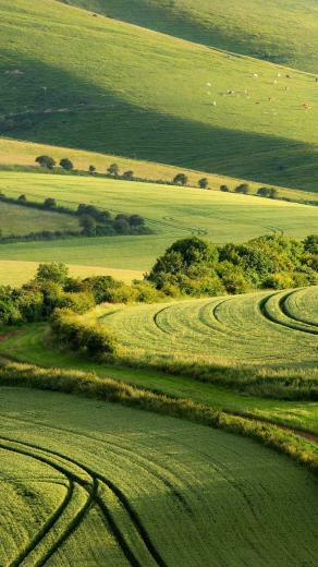Beautiful Green Natural Scenery iPhone Wallpaper HD