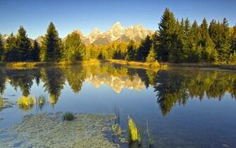 Crystal Clear River Everything Seems To Be Reflected One Shall Feel