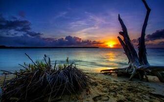 Desert Island Sunset Wallpaper For Android Live