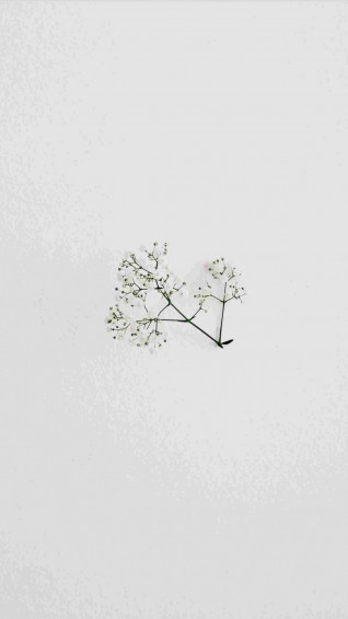 iPhone Aesthetic Minimalist Wallpaper HD