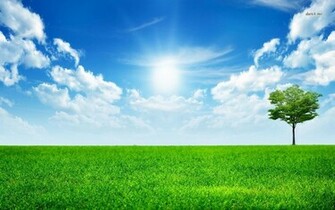 Bright Sunny Day Wallpaper Digital Art