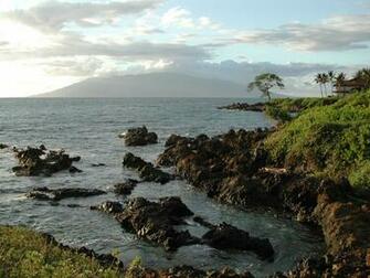 Maui Screen Savers
