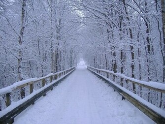 Winter Wonderland Wallpaper