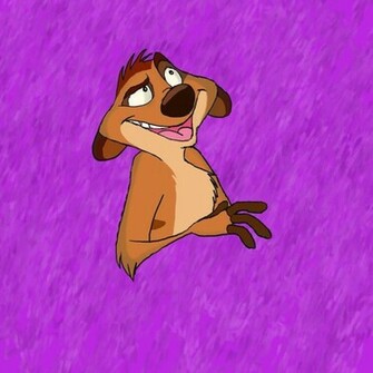 Timon D By Impano
