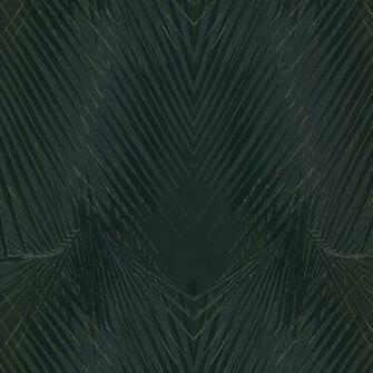 Roberto Cavalli Wallpaper Rc17005 Allen Braithwaite