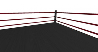 Wrestling Japanese Picture Ring