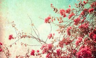 Wallpaper Vintage Flowers HD