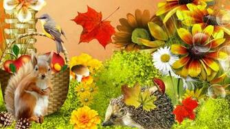 November By Stephen Comments Off On Autumn Flower Wallpaper