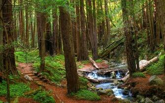 Big Sur Wallpaper