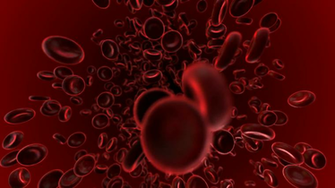 Loopable Animation Of Blood Cells Flowing Into Veins Motion