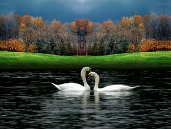 Beautiful Nature Wallpaper