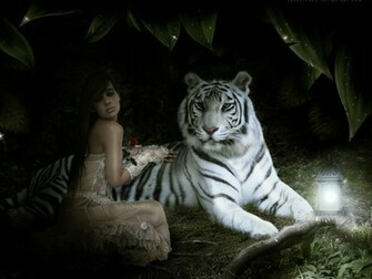 Beautiful Wallpaper White Bengal Tiger Pictures