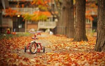 Fall Season HD Wallpaper