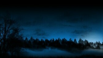 Wallpaper Dark Background Photography Forest