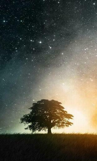 X Theme Nokia Lumia Blackberry Z10 Type Wallpaper